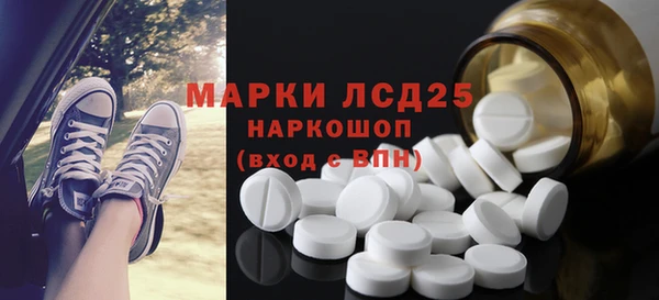 ГАЛЛЮЦИНОГЕННЫЕ ГРИБЫ Аркадак