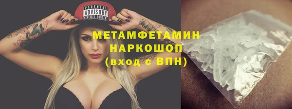 ГАЛЛЮЦИНОГЕННЫЕ ГРИБЫ Аркадак