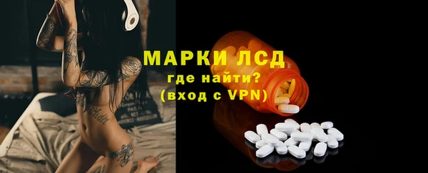 ГАЛЛЮЦИНОГЕННЫЕ ГРИБЫ Аркадак